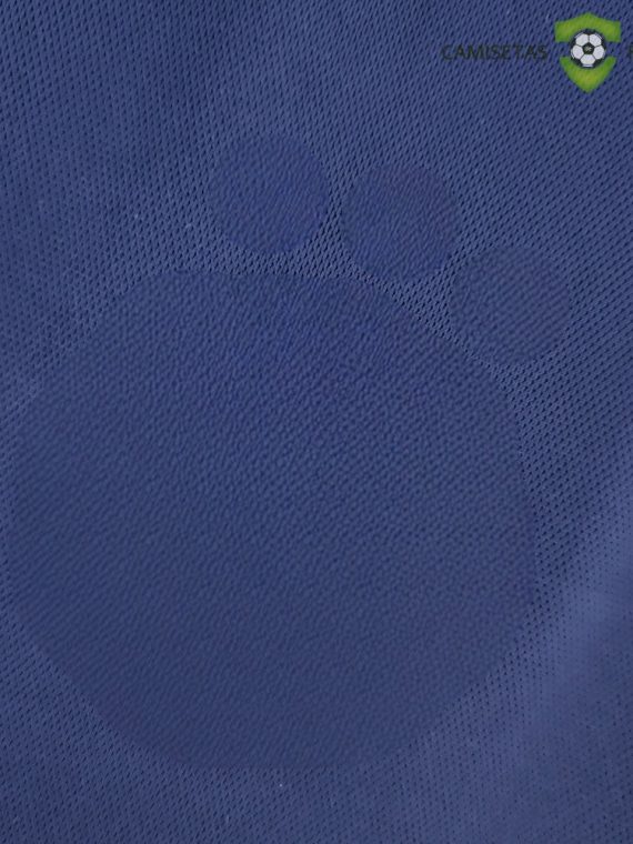 Camiseta Ajax 22-23, Visitante