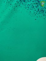 Camiseta Real Betis 22-23, Edicion Especial Verde