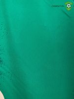 Camiseta Real Betis 22-23, Edicion Especial Verde