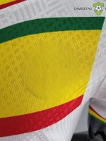 Camiseta Senegal 22-23, Local (Player Versi??n)